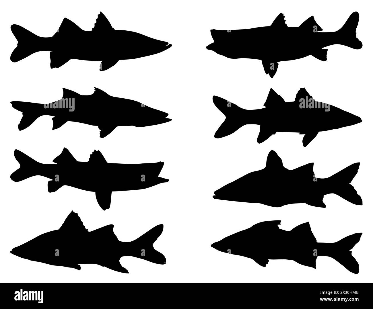 Snook fish silhouette vector art Stock Vector