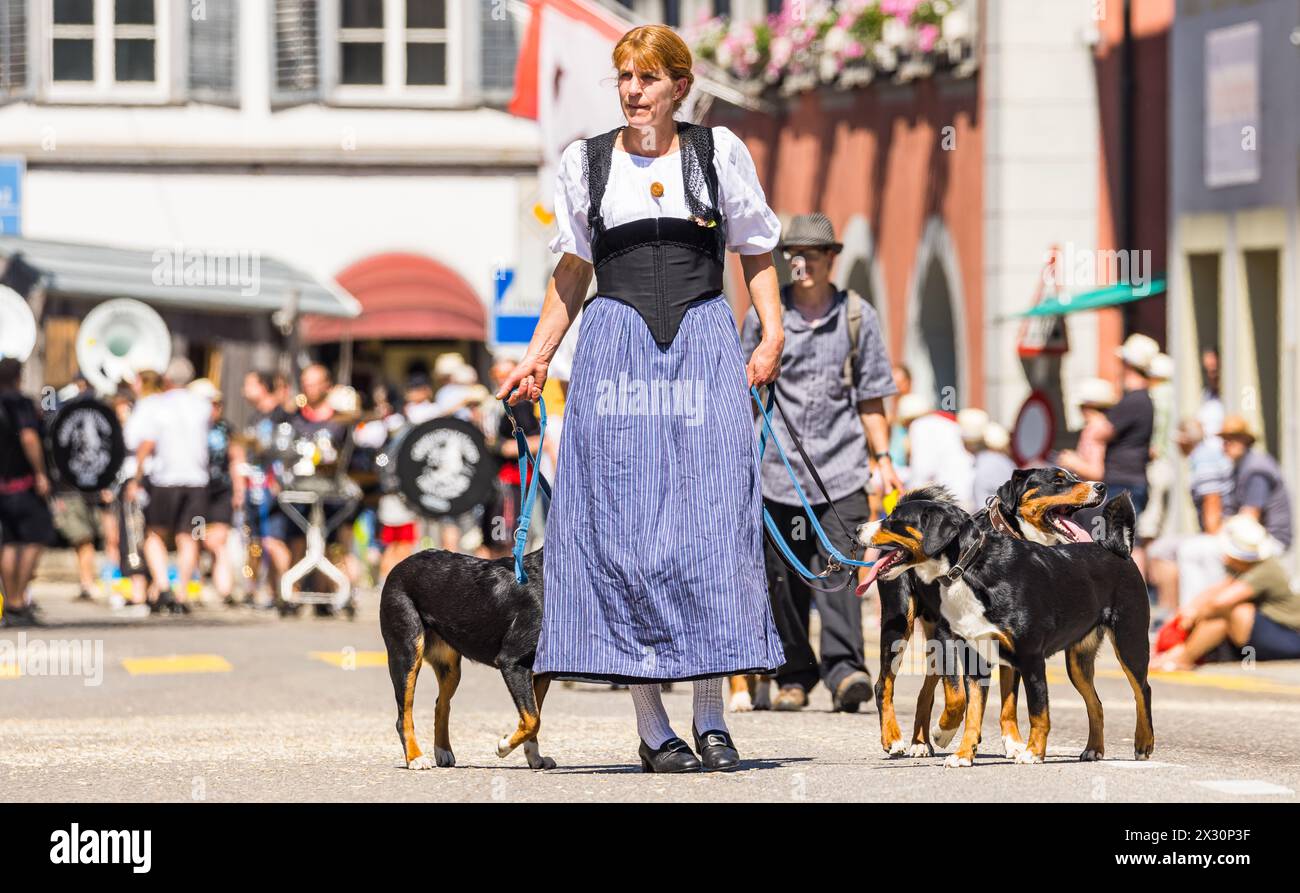 Die Appenzeller Sennenhunde dürfen sich auch am grossen Festumzug des Jodlerfest präsentieren. (Bad Zurzach, Schweiz, 12.06.2022) Stock Photo