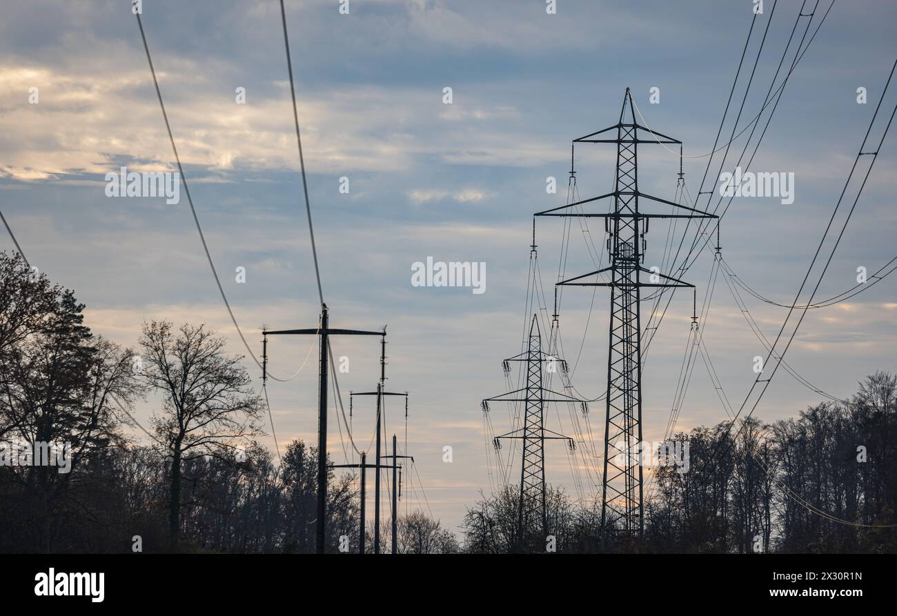 Strommasten bei Neuforn im Kanton Thurgau in der Abenddämmerung