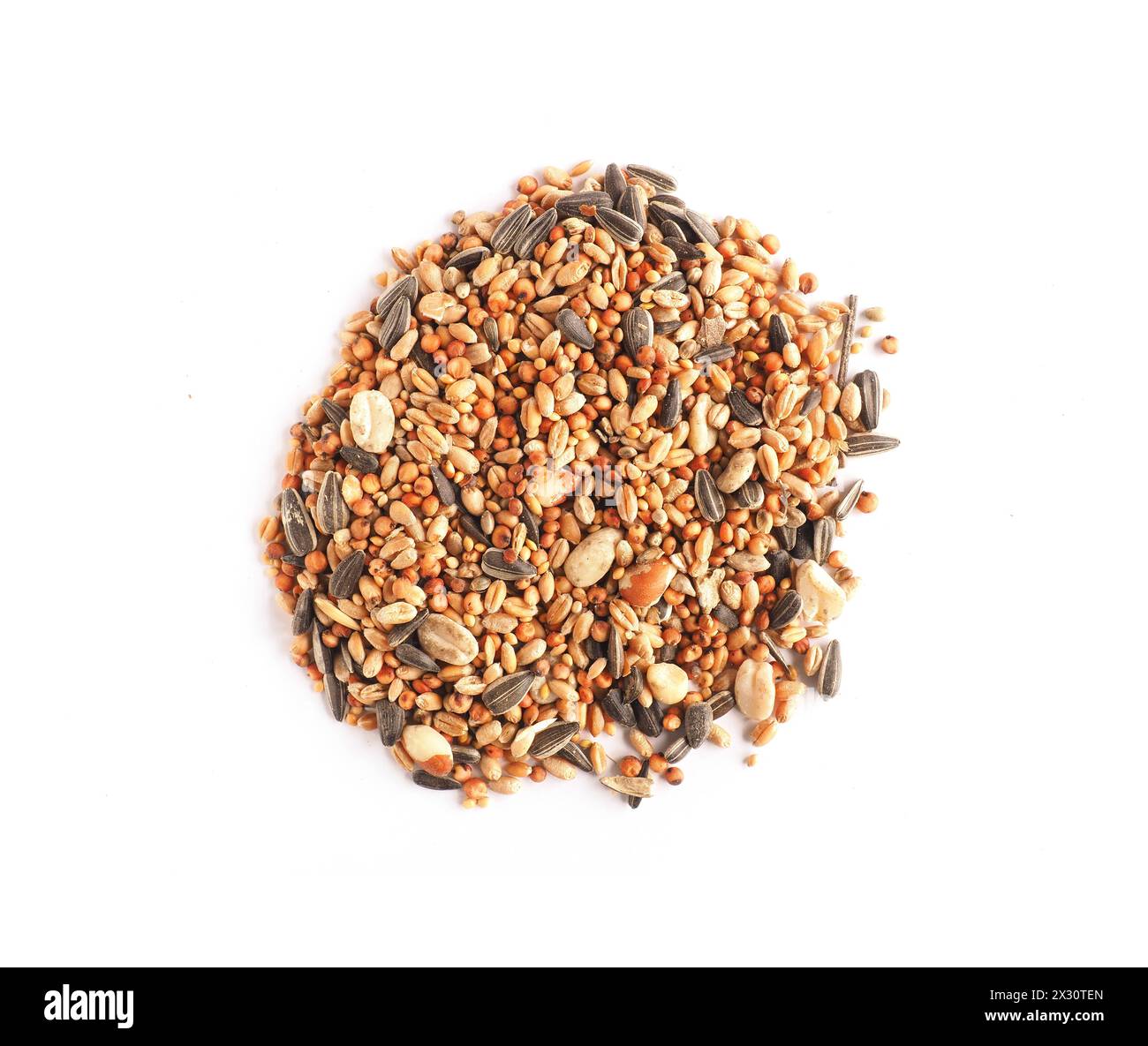 Bird food on a white studio background, close up, bird feeding concept, view from above Stock Photo