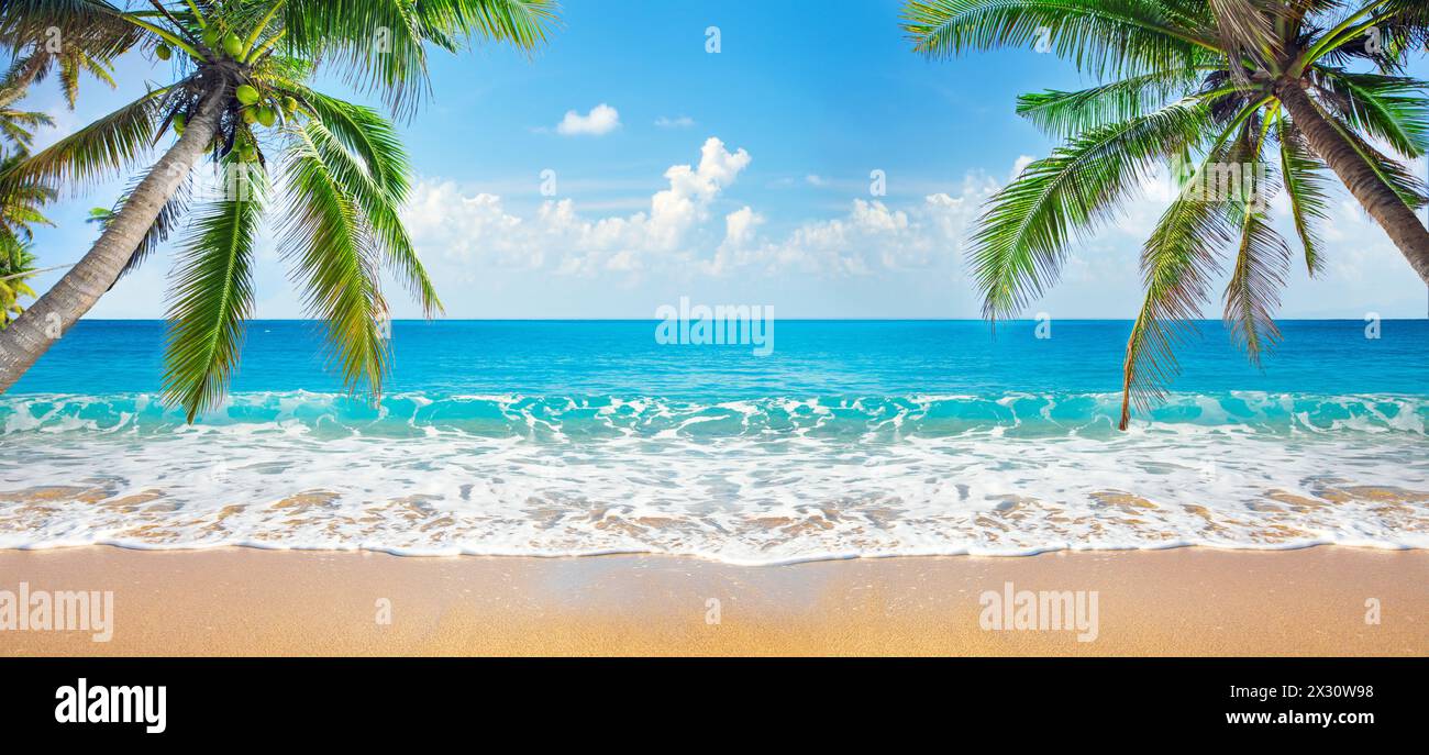 panorama of tropical beach with coconut palm trees Stock Photo - Alamy