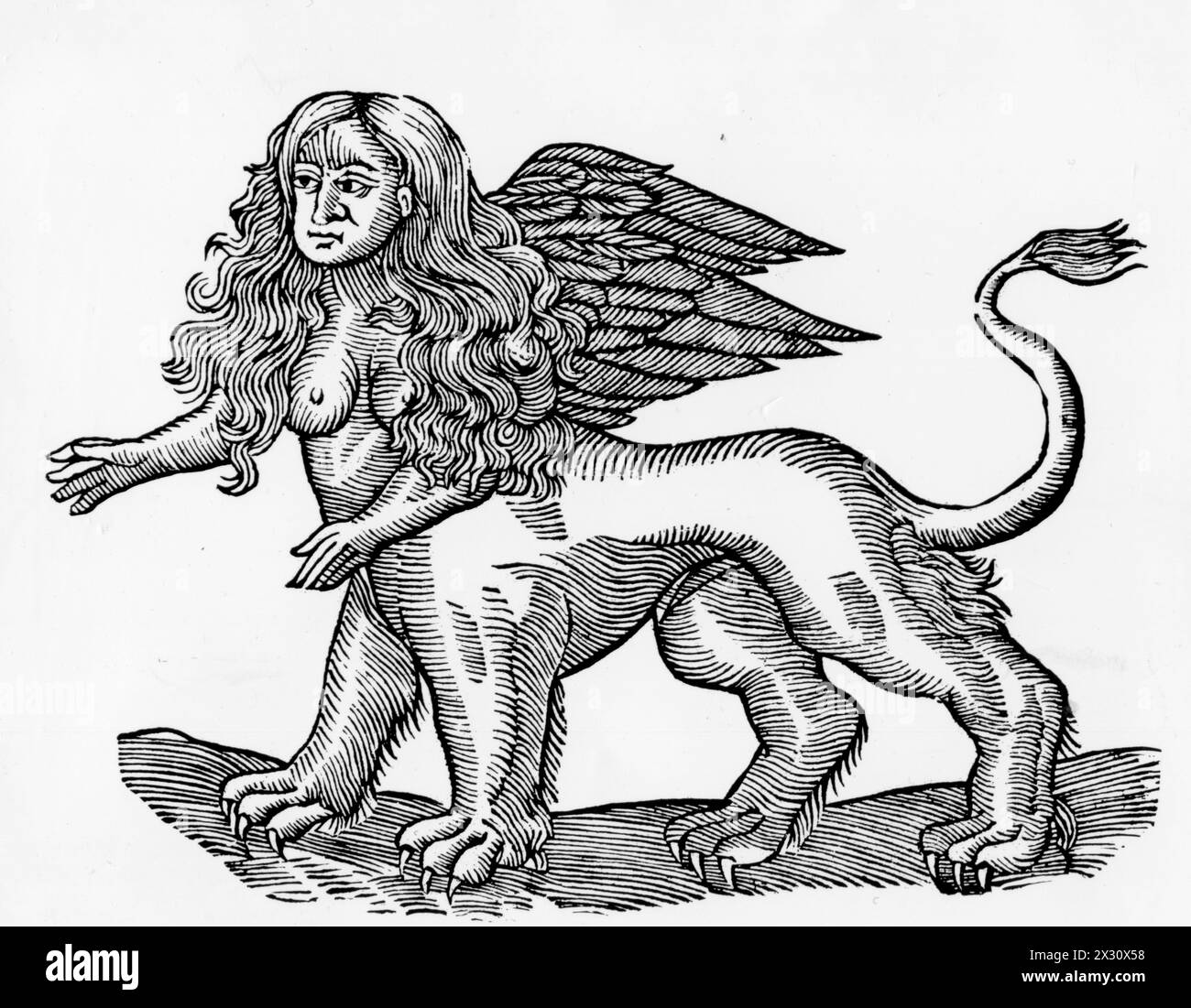 Sphinx, Greek mythological creatures, woodcut, ADDITIONAL-RIGHTS-CLEARANCE-INFO-NOT-AVAILABLE Stock Photo