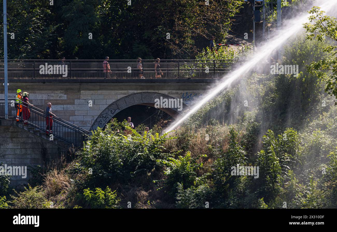 Die Feuerwehr löscht einen Flächenbrand unterhalb des Schloss Laufen auf der Zürcher Seite des bei Touristen beliebten Ausflugsziel. (Neuhausen am Rhe Stock Photo