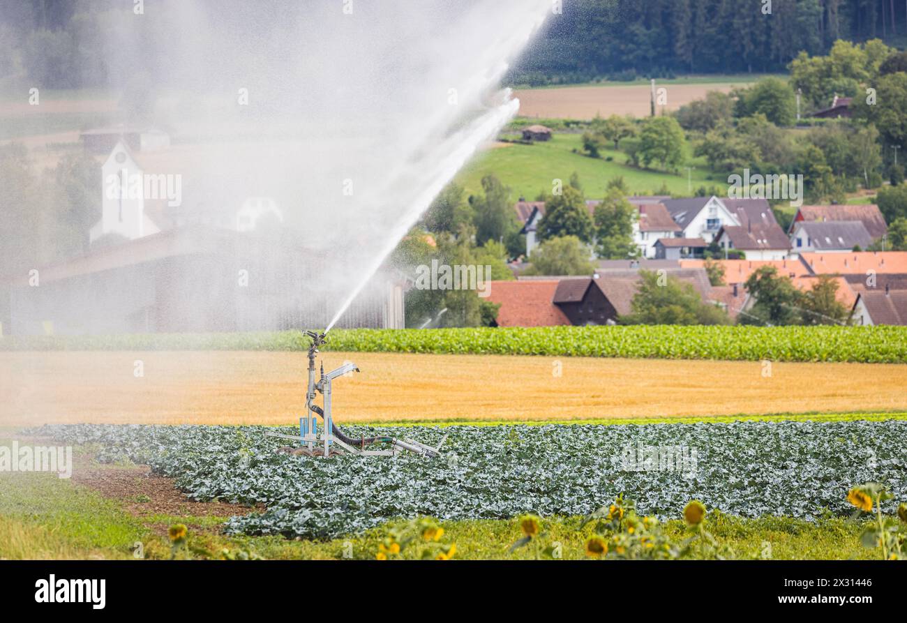 Im Zürcher Weinland bewässt ein Bauer sein Agrarfeld. (Flaach, Schweiz, 30.07.2022) Stock Photo