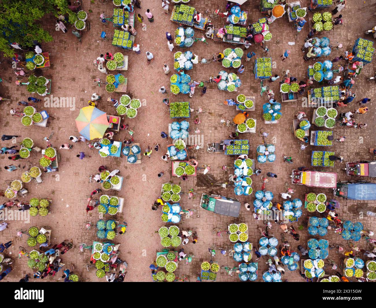 Chapainawabganj, Rajshahi, Bangladesh. 24th Apr, 2024. Thousands of ...