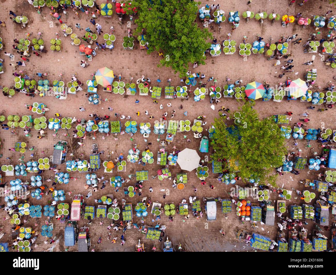 Chapainawabganj, Rajshahi, Bangladesh. 24th Apr, 2024. Thousands of ...