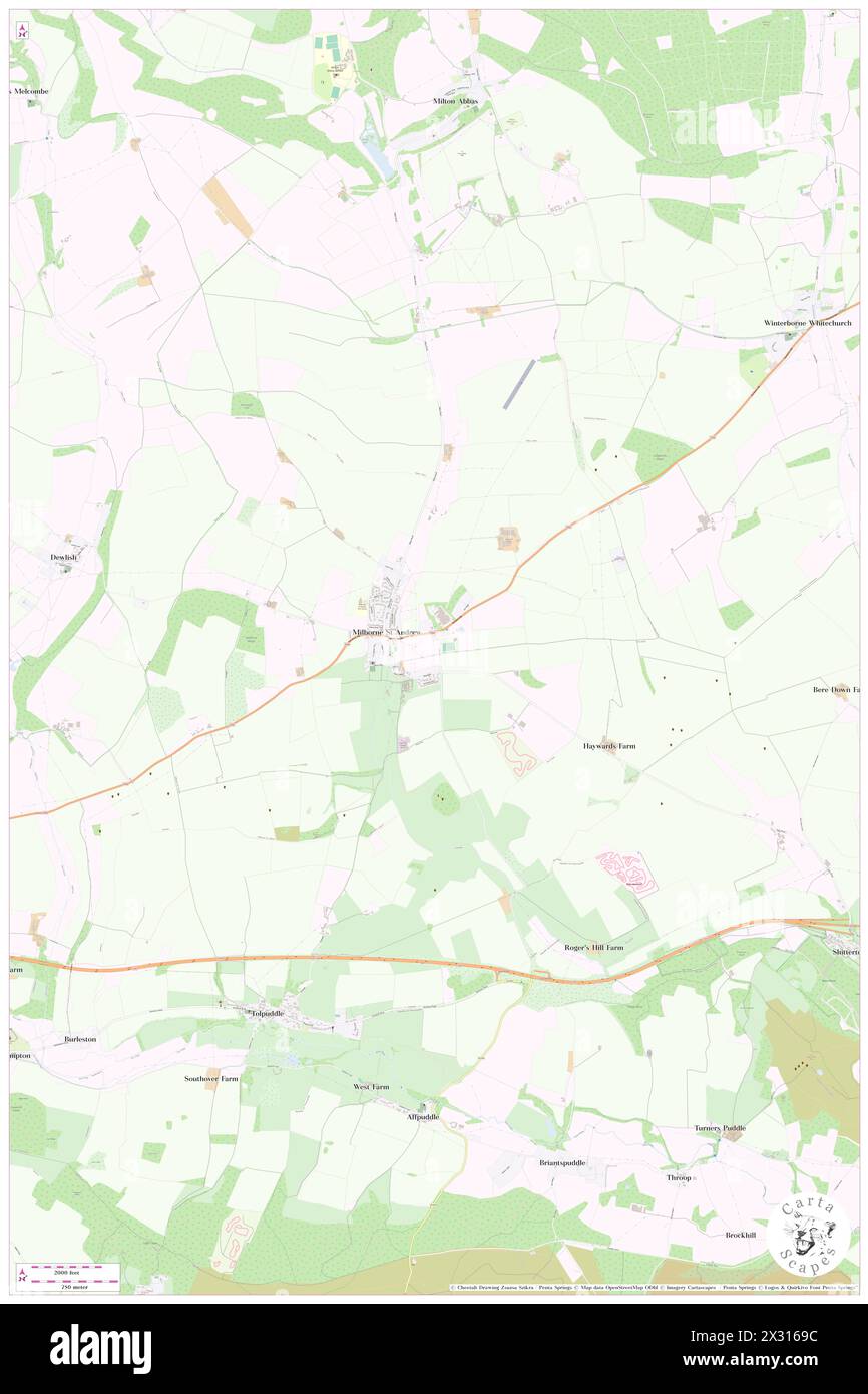 Milborne St. Andrew, Dorset, GB, United Kingdom, England, N 50 46' 35
