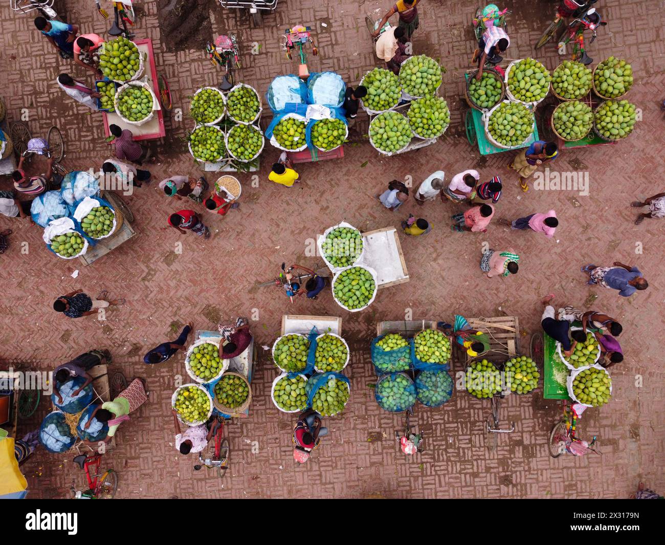 Chapainawabganj, Rajshahi, Bangladesh. 24th Apr, 2024. Thousands of ...