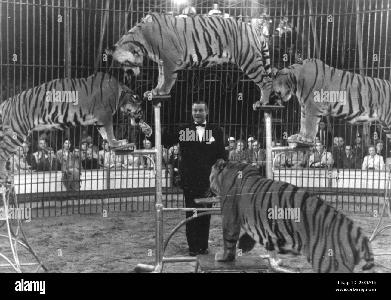 Sembach, Carl, 8.12.1908 - 18.1.1984, German ringmaster of the circus Krone, ADDITIONAL-RIGHTS-CLEARANCE-INFO-NOT-AVAILABLE Stock Photo