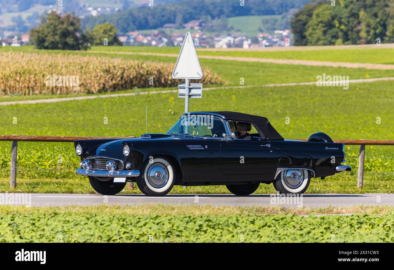 Ein Ford Thunderbird mit Baujahr 1956 fährt auf einer Strasse