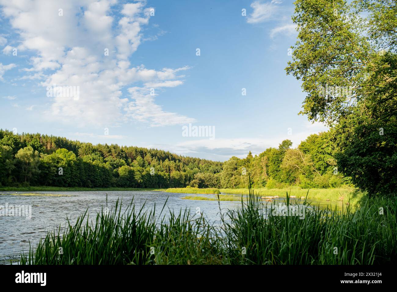 Saide stream falling into Neris river in Neris Regional Park near Vilnius, on sunny summer day. Landmarks and destination scenics of Lithuania. Stock Photo