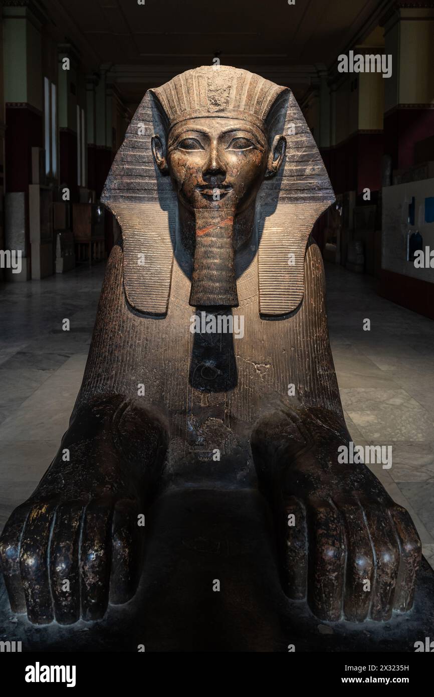 Cairo, Egypt - November 14 2023: Granite Sphinx of Hatshepsut is displayed in the Egyptian Museum of Cairo, Egypt capital city Stock Photo