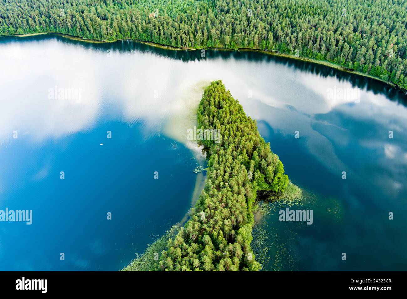 Scenic aerial view of Sciuro Ragas peninsula, separating White Lakajai and Black Lakajai lakes. Picturesque landscape of lakes and forests of Labanora Stock Photo