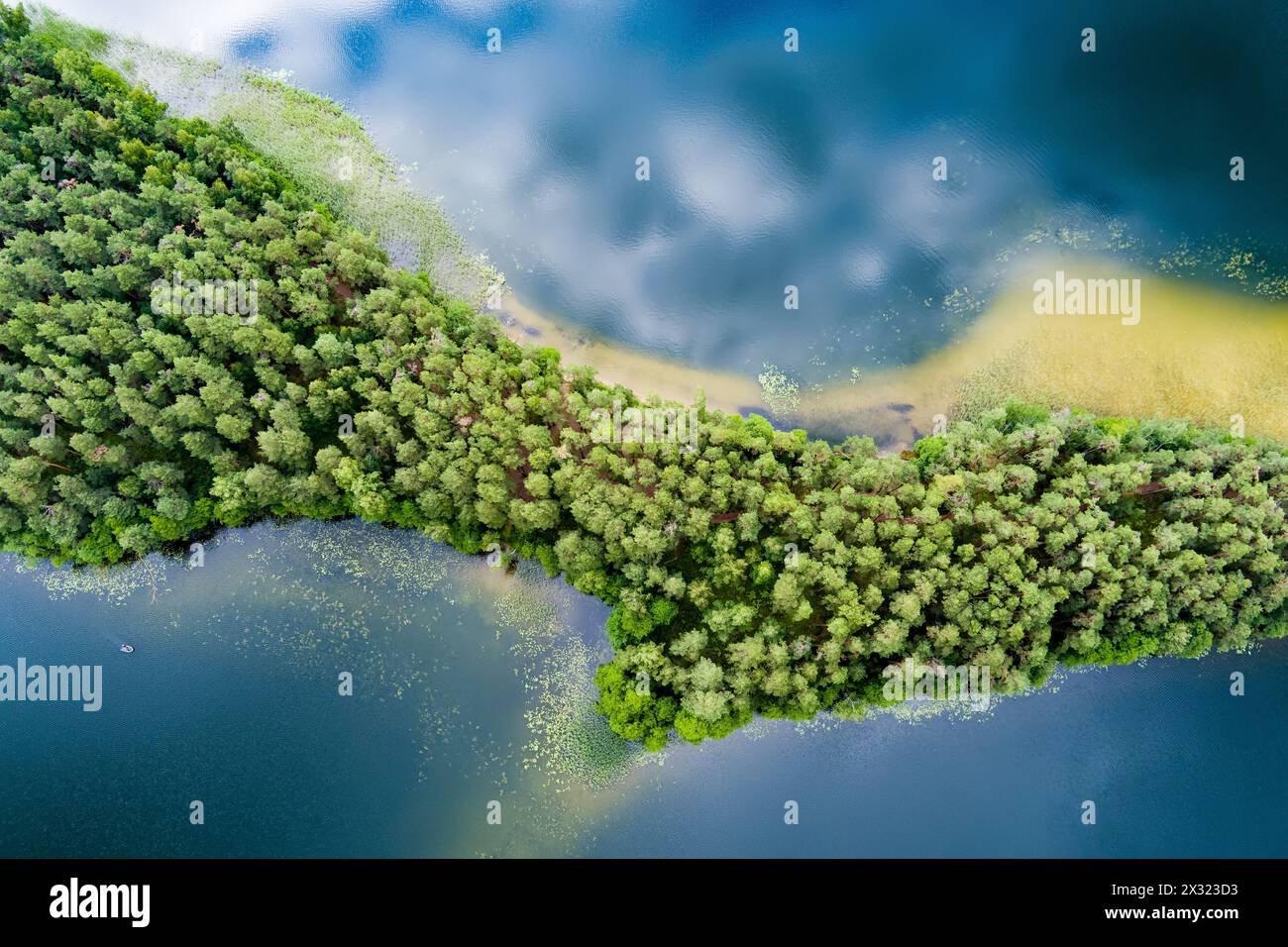 Scenic aerial view of Sciuro Ragas peninsula, separating White Lakajai and Black Lakajai lakes. Picturesque landscape of lakes and forests of Labanora Stock Photo