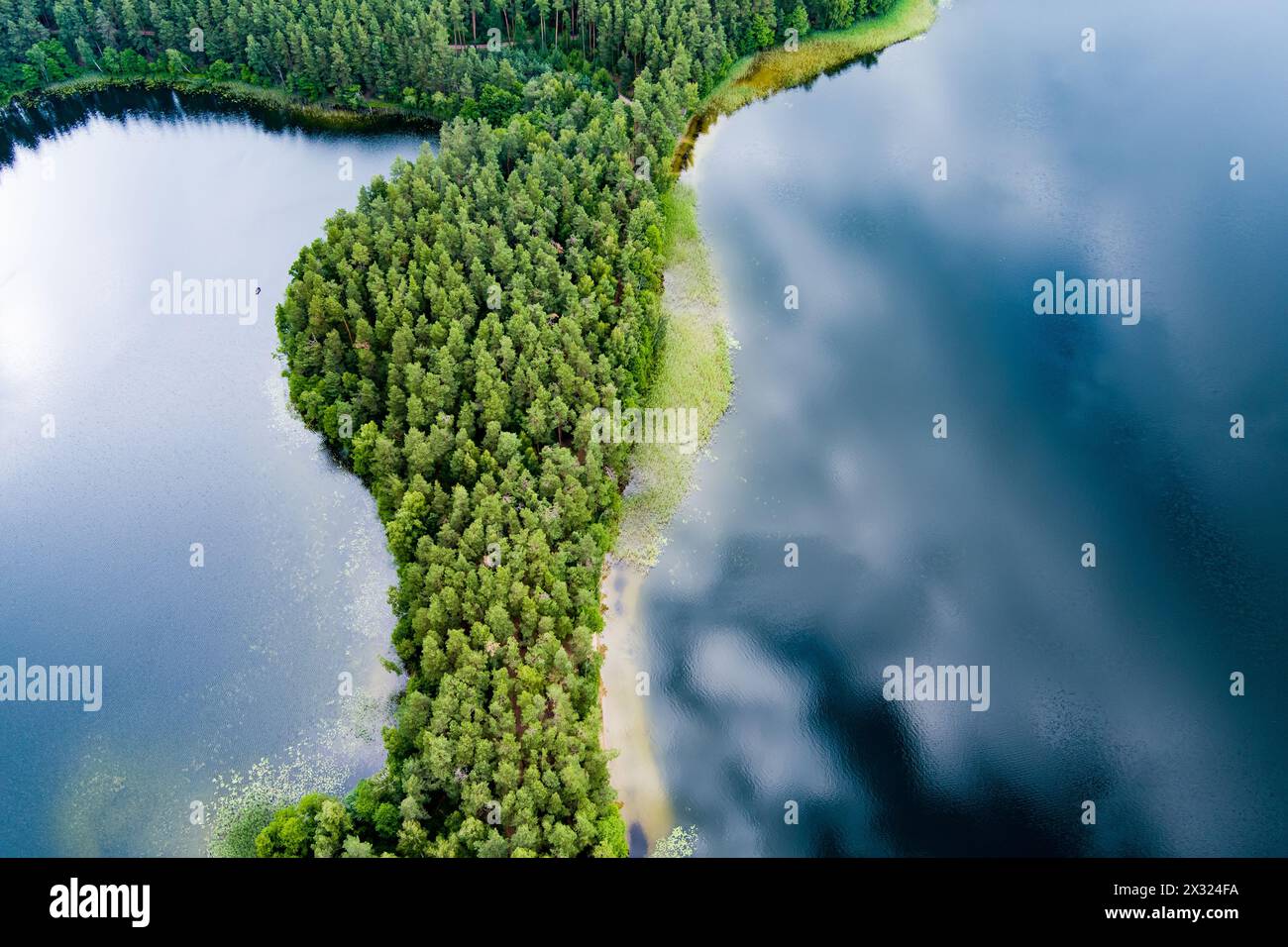 Scenic aerial view of Sciuro Ragas peninsula, separating White Lakajai and Black Lakajai lakes. Picturesque landscape of lakes and forests of Labanora Stock Photo