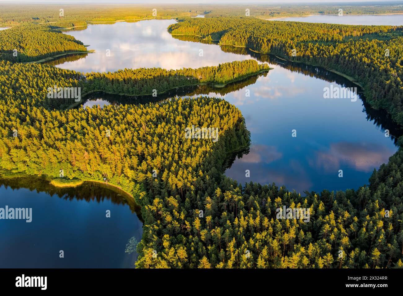 Scenic aerial view of Sciuro Ragas peninsula, separating White Lakajai and Black Lakajai lakes. Picturesque landscape of lakes and forests of Labanora Stock Photo