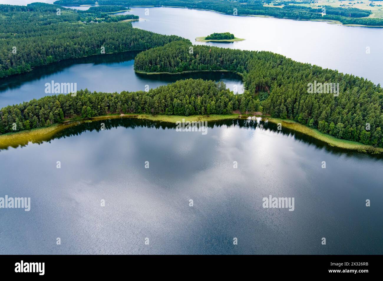 Scenic aerial view of Sciuro Ragas peninsula, separating White Lakajai and Black Lakajai lakes. Picturesque landscape of lakes and forests of Labanora Stock Photo