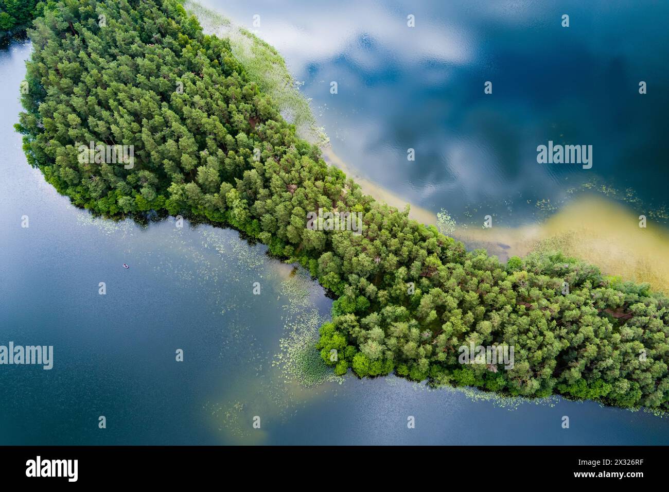 Scenic aerial view of Sciuro Ragas peninsula, separating White Lakajai and Black Lakajai lakes. Picturesque landscape of lakes and forests of Labanora Stock Photo