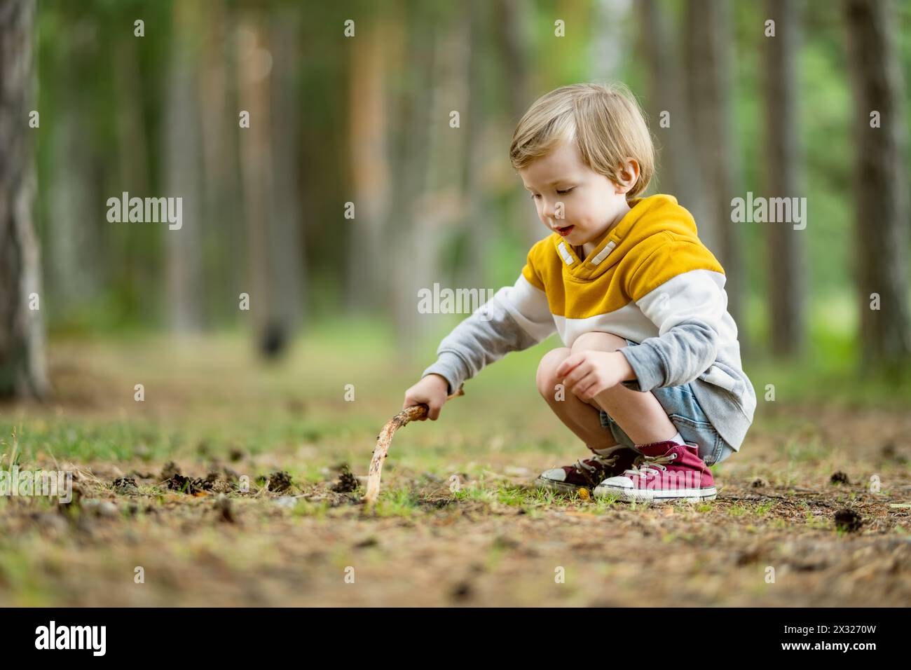 Cute little boy having fun outdoors on sunny summer day. Child ...
