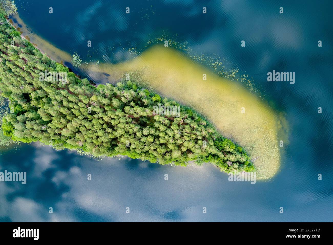 Scenic aerial view of Sciuro Ragas peninsula, separating White Lakajai and Black Lakajai lakes. Picturesque landscape of lakes and forests of Labanora Stock Photo