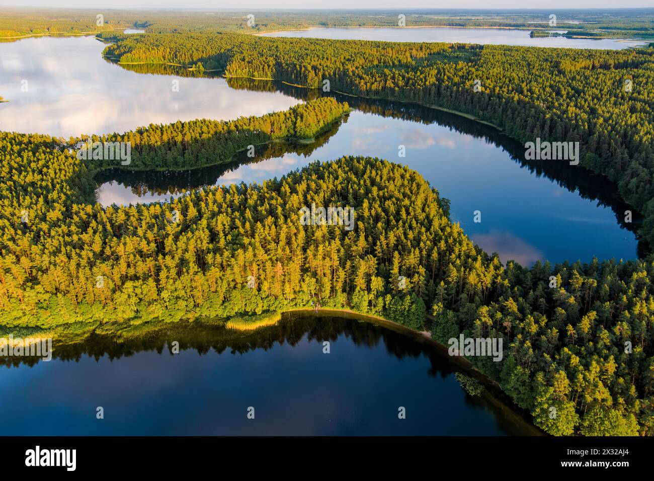 Scenic aerial view of Sciuro Ragas peninsula, separating White Lakajai and Black Lakajai lakes. Picturesque landscape of lakes and forests of Labanora Stock Photo