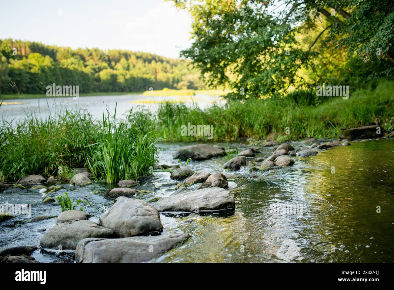 Saide stream falling into Neris river in Neris Regional Park near Vilnius, on sunny summer day. Landmarks and destination scenics of Lithuania. Stock Photo