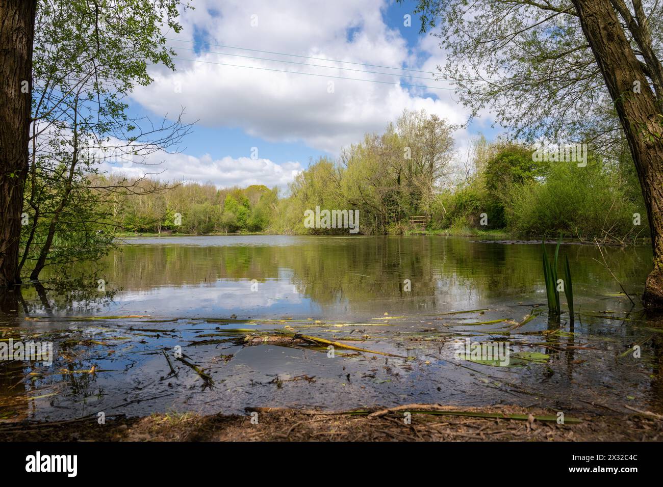 large steering servo