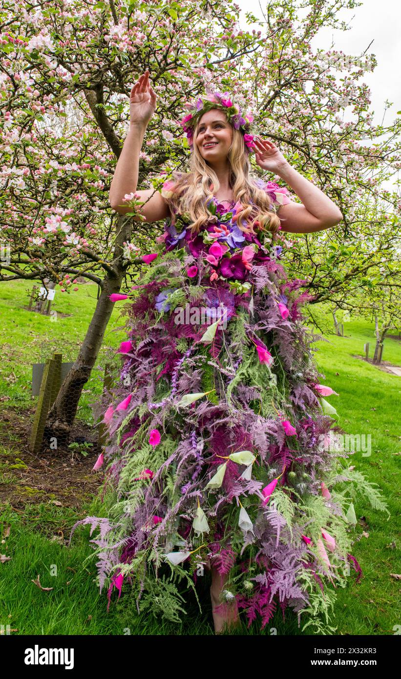 Botticelli primavera flora hi-res stock photography and images - Alamy