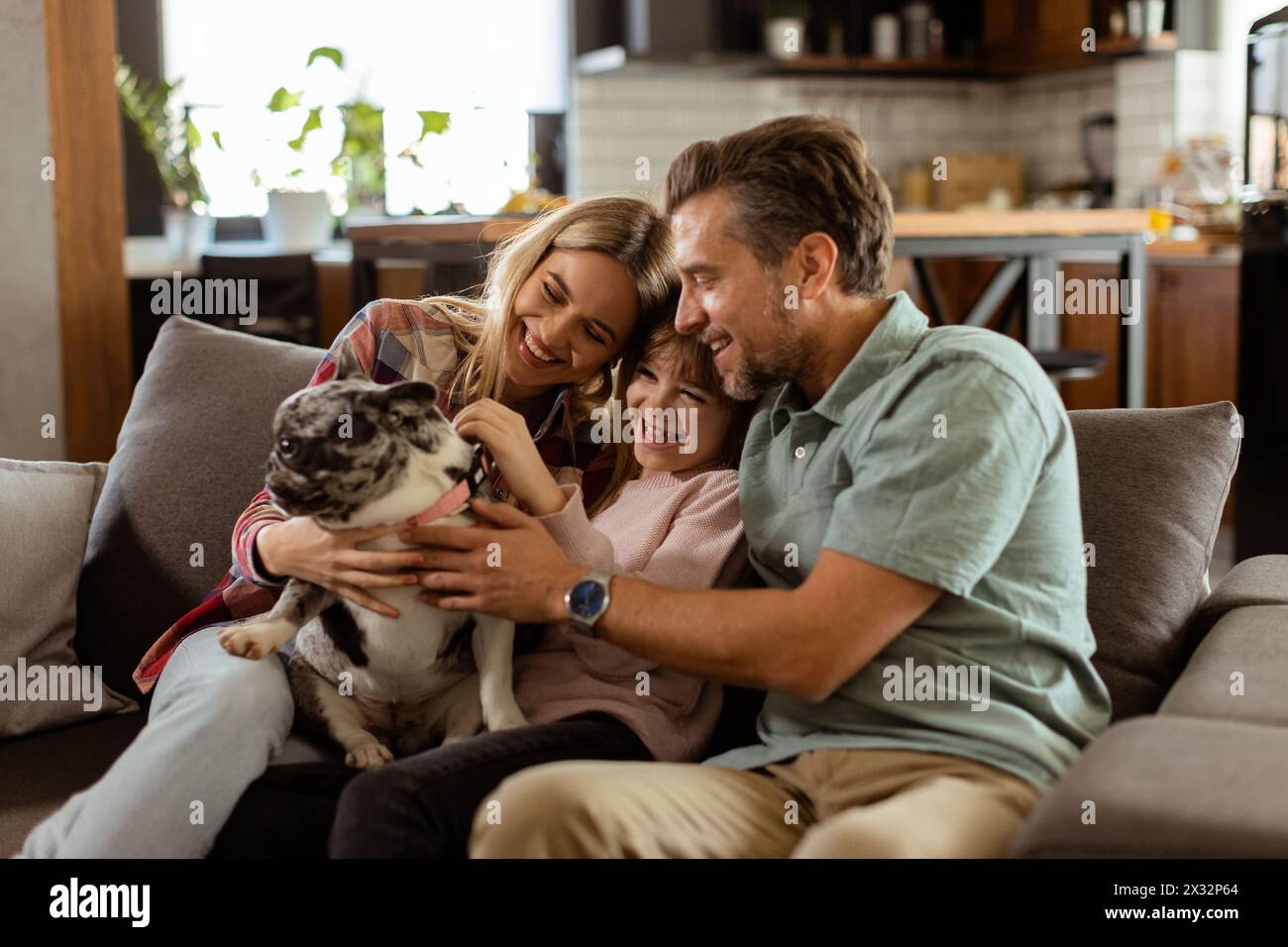 Joyful parents watch their daughter play with a happy french bulldog at home Stock Photo