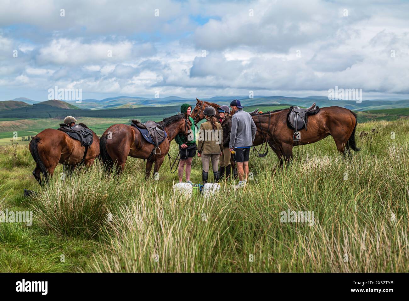 Scottis borders hi-res stock photography and images - Alamy