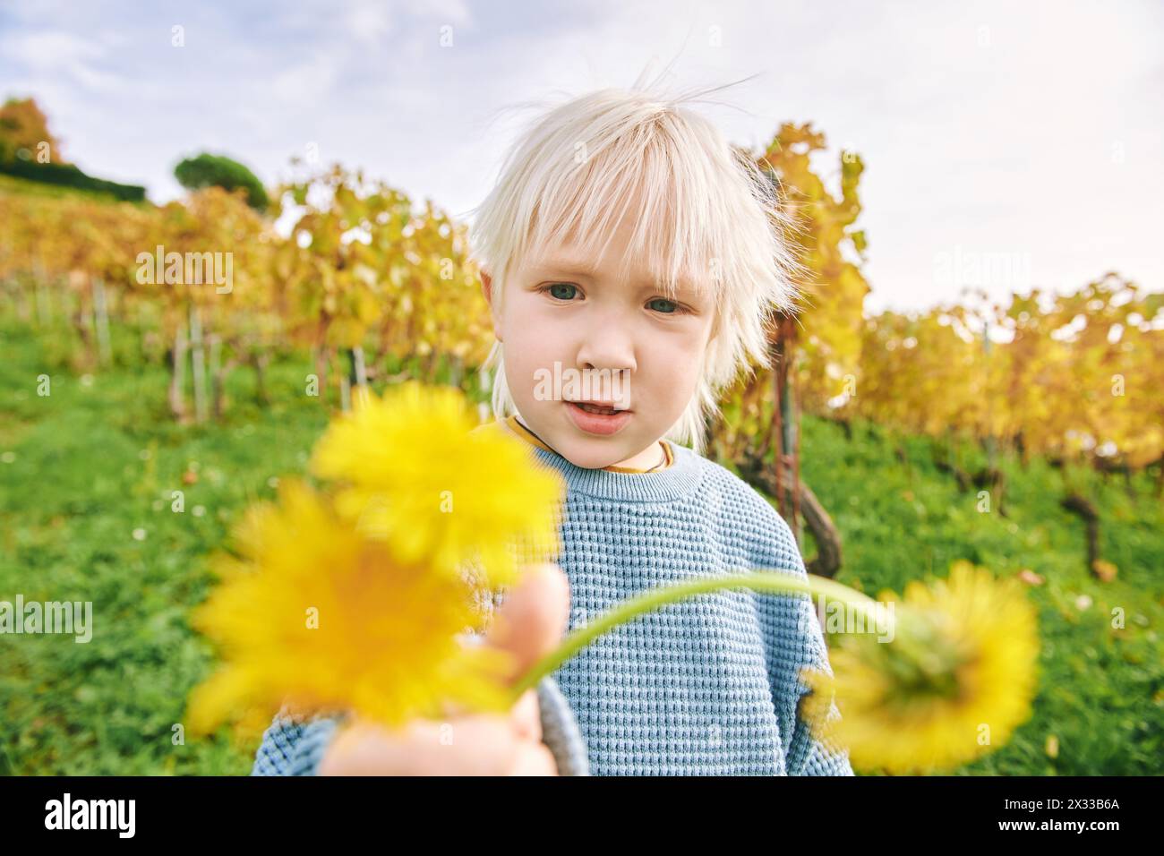 Outdoor portrait of adorable toddler boy playing in autumn vineyards, happy and active lifestyle Stock Photo