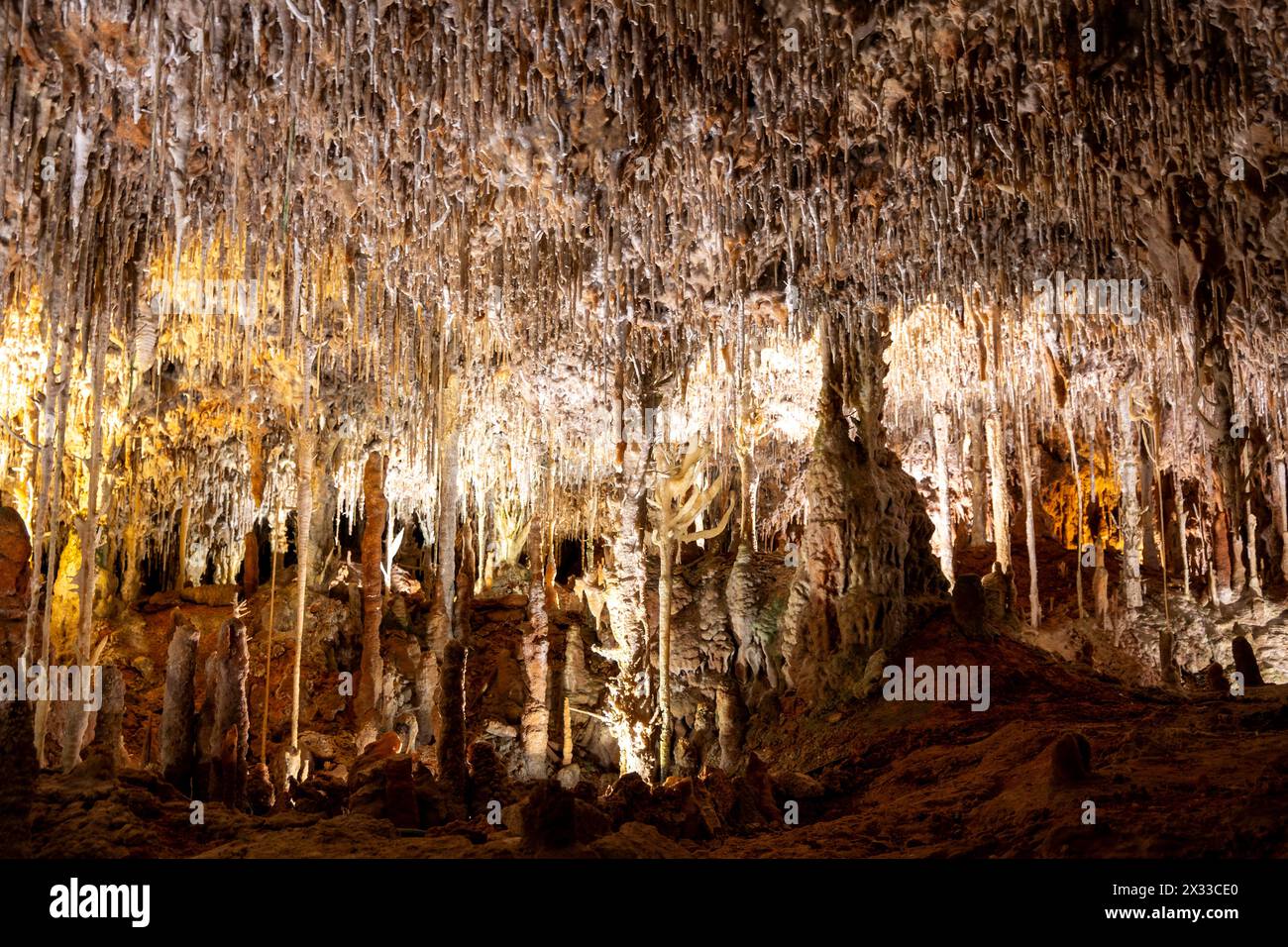 Porto Cristo, Balearic Islands, Spain, Stalactites inside Hams' Caves, ( Coves dels Hams), Editorial only. Stock Photo