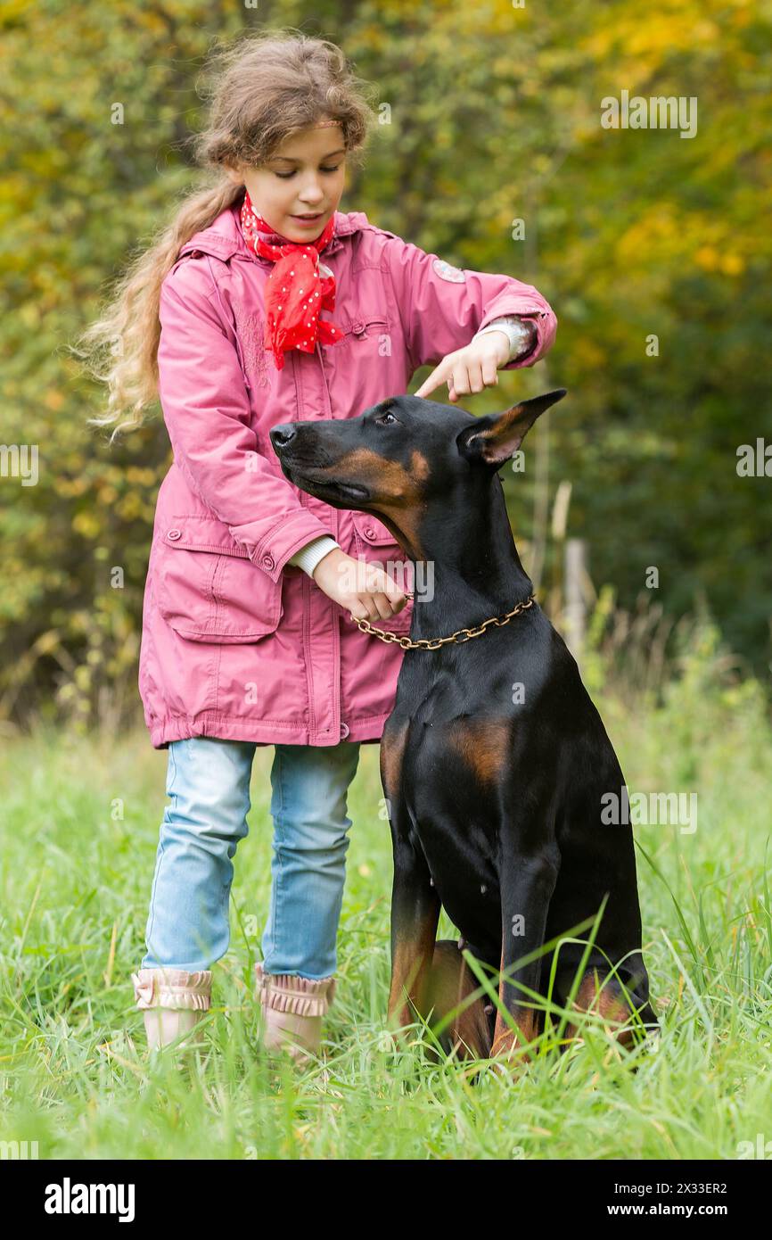 Beautiful little girl is walking with a dobermann in autumn park. Stock Photo