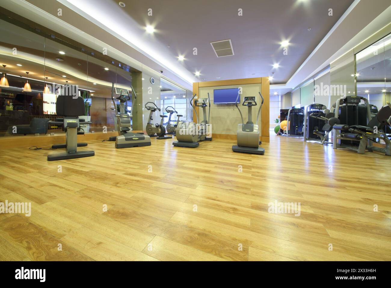 SOCHI, RUSSIA - JUL 27, 2014: Fitness equipment in the gym in the Hotel Radisson Blu Paradise Resort and Spa Stock Photo