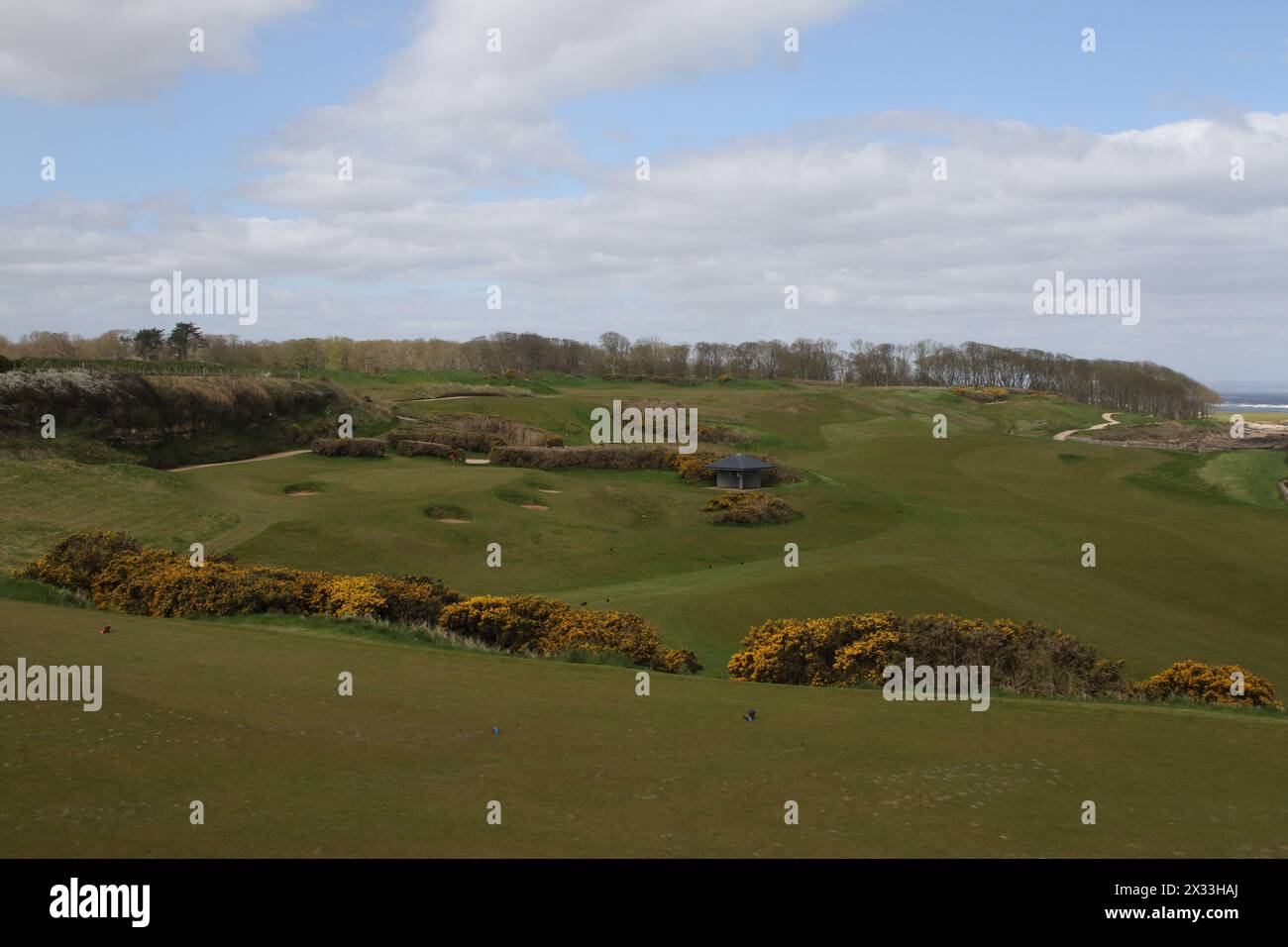 Kingsbarns Golf Links Fife Scotland April 2024 Stock Photo Alamy