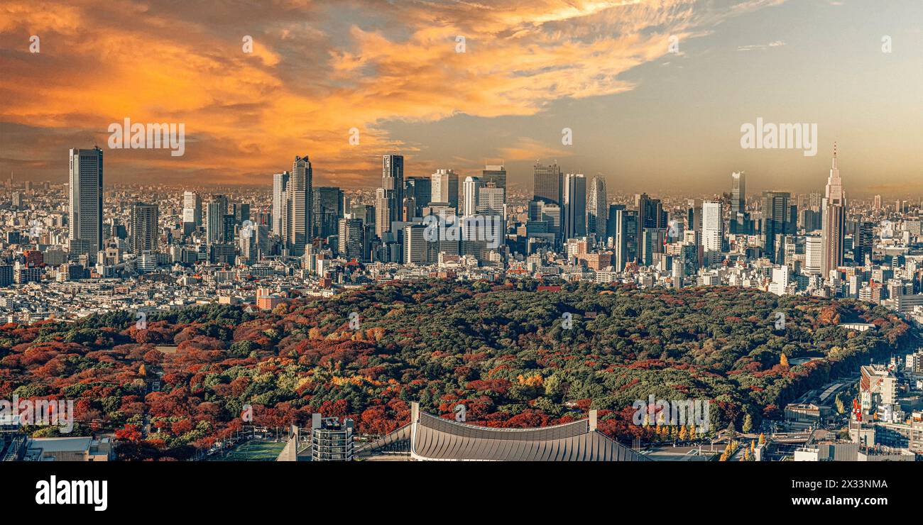 Golden hour Tokyo background with autumn foliage in the foreground Stock Photo