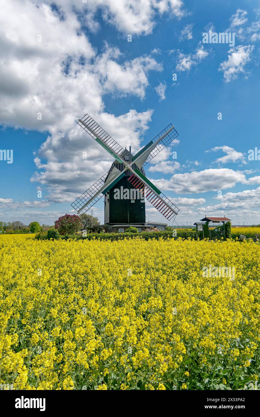 Bockwindmühle, Baujahr 1848, heute in Privatbesitz, 1985 Rekonstruktion, Die 1848 erbaute Mühle wurde bis 1952 zum Mahlen von Getreide verwendet. Früh Stock Photo