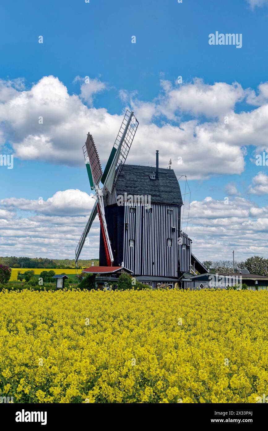 Bockwindmühle bei Eimersleben in Sachsen-Anhalt. Die 1848 erbaute Mühle wurde bis 1952 zum Mahlen von Getreide verwendet. Ab 1985 Restaurierung, heute Stock Photo