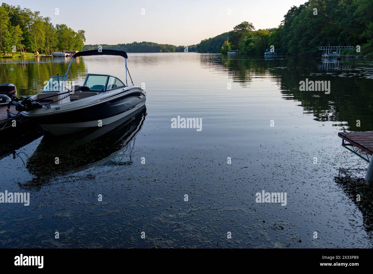 View  from shoreline of a northern lake in Washburn County, Wisconsin, in the evening. Stock Photo