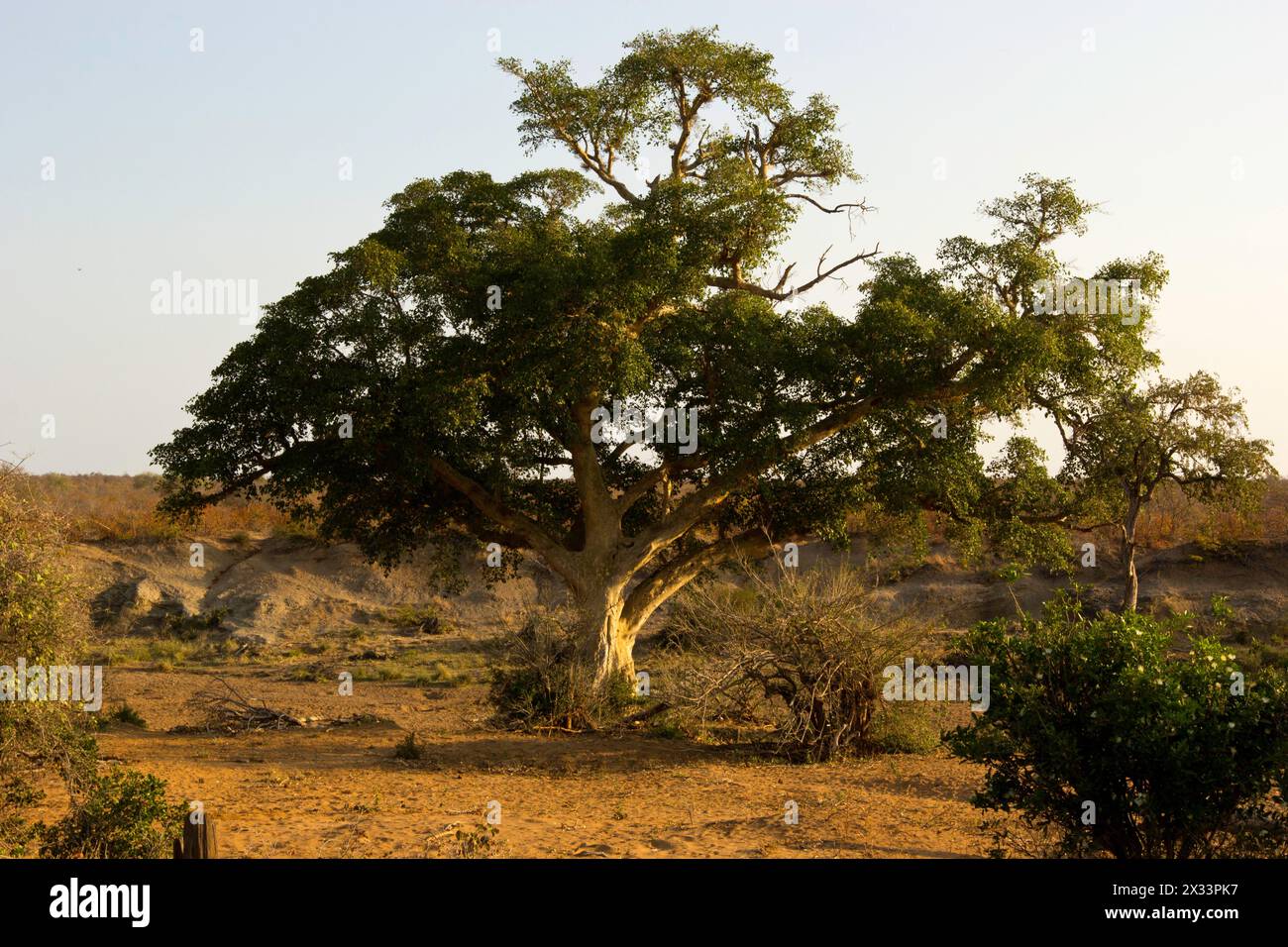 Scenery and landscapes of Southern Africa Stock Photo
