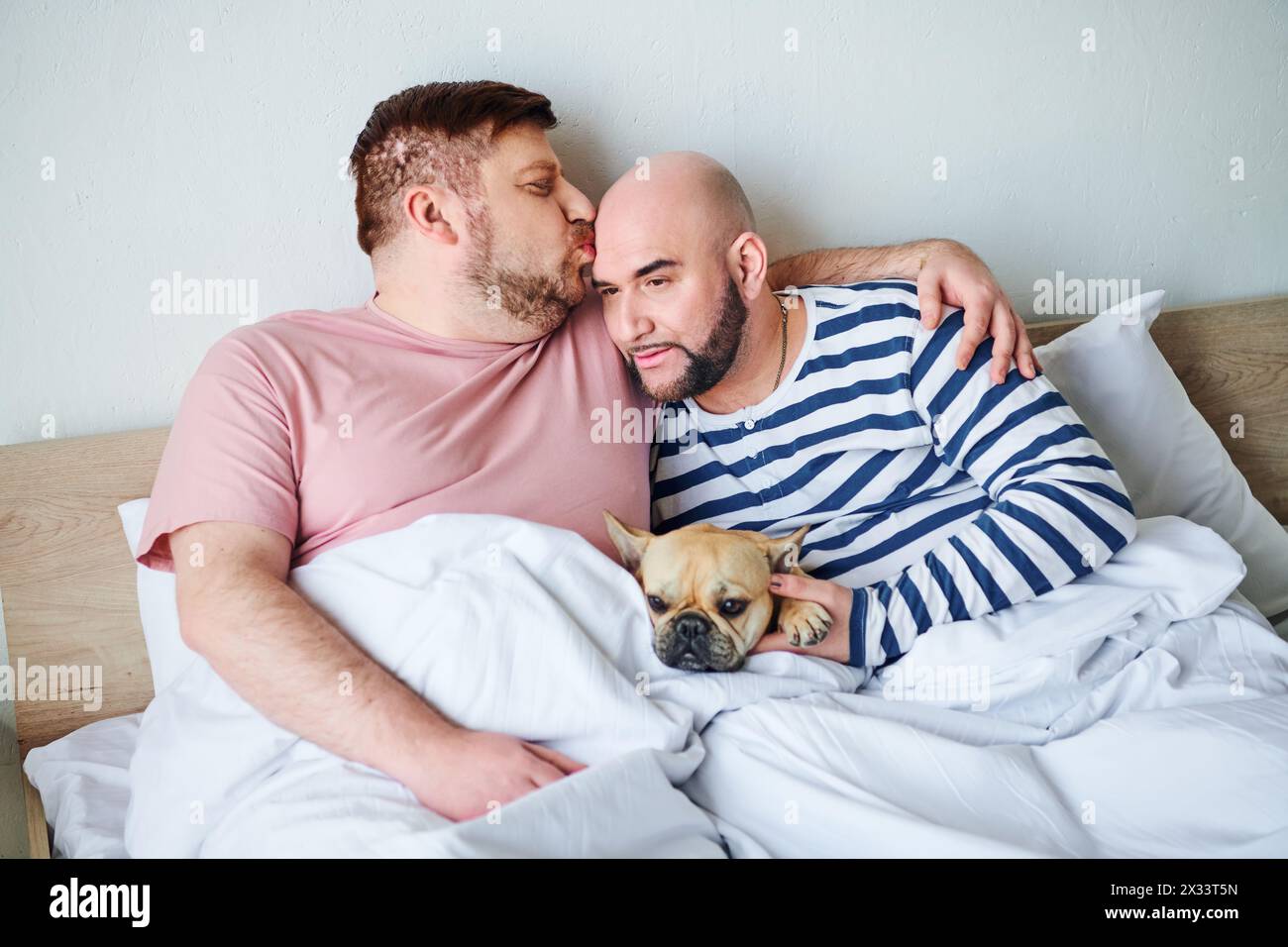 Two men relax in bed, cuddling with their French bulldog. Stock Photo