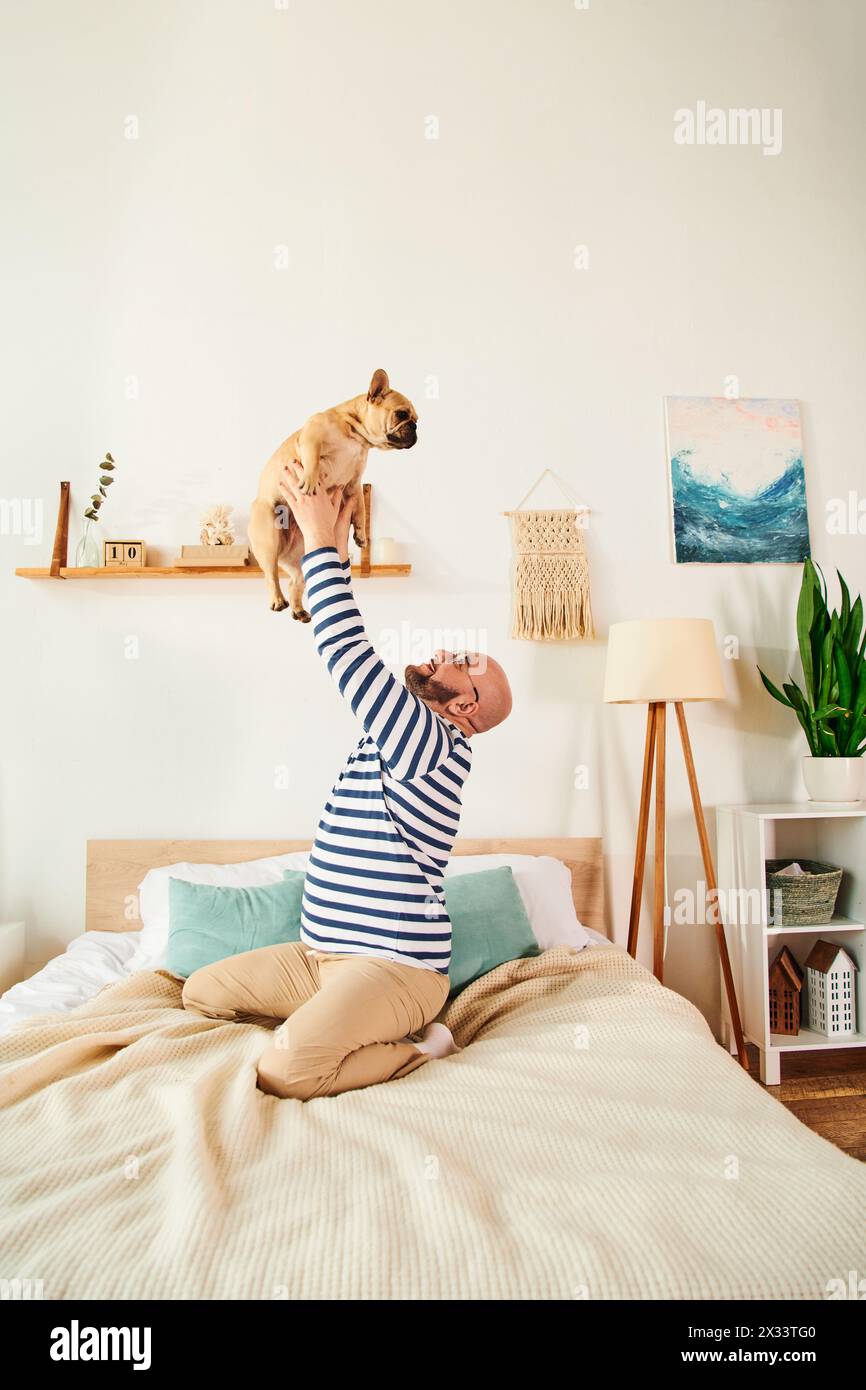 Relaxed man with glasses lovingly lifts French Bulldog in air on cozy bed. Stock Photo