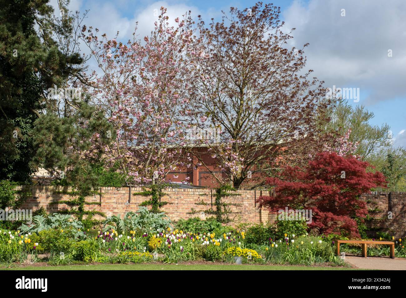 The walled garden at Burnby Hall Gardens in the Spring Stock Photo
