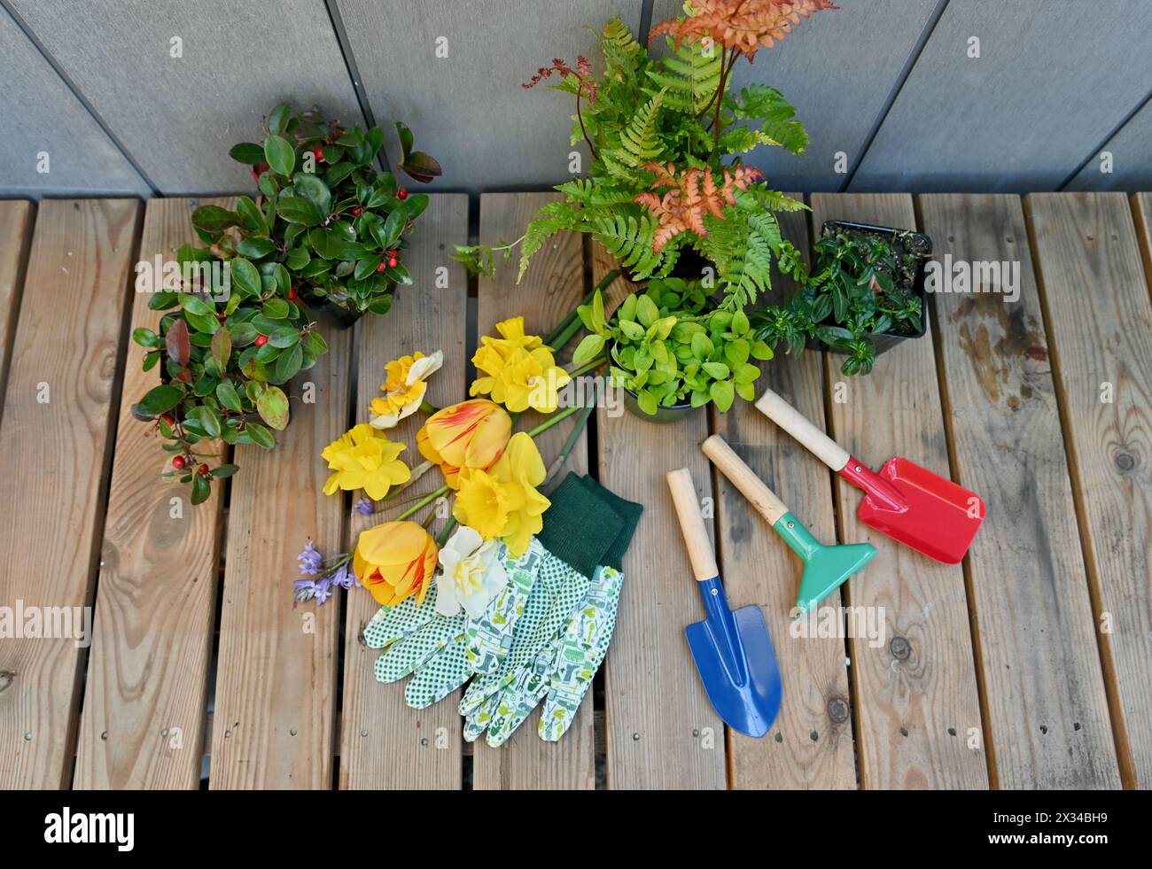 Garden tools clean shed hi-res stock photography and images - Alamy