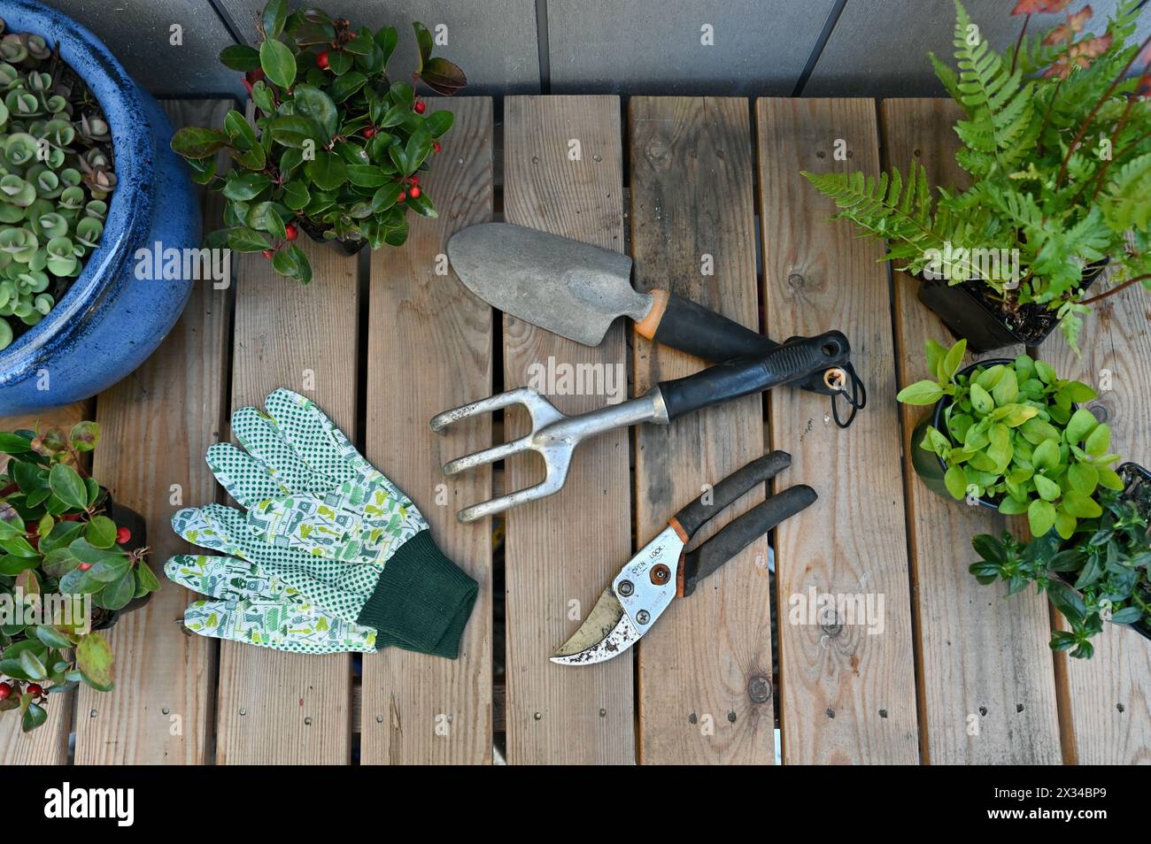 Spring garden potting bench with garden equipment tools for yard work clean up. Stock Photo