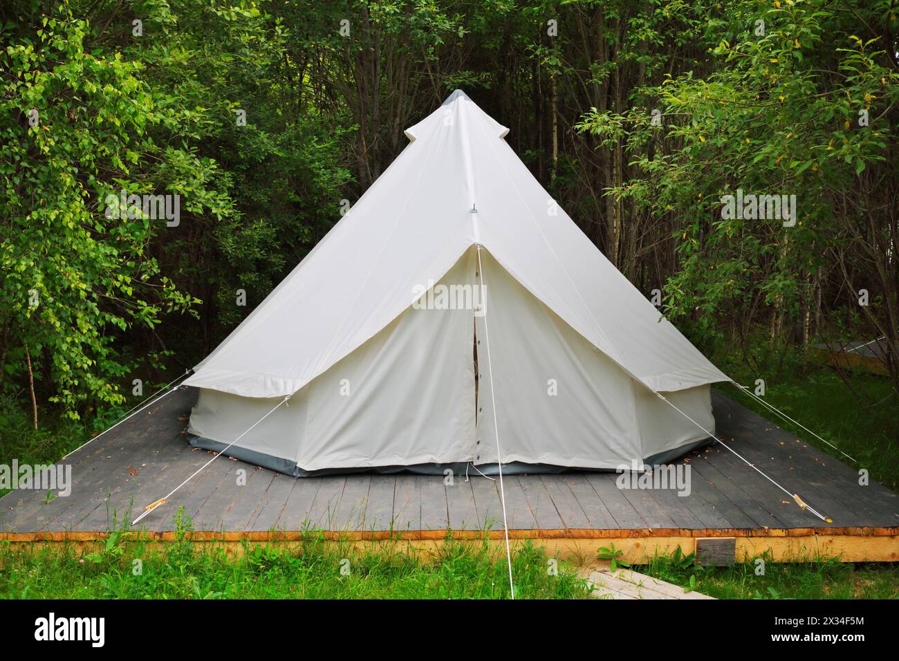 white tent for guests are hosted on wooden podium on camping Stock Photo