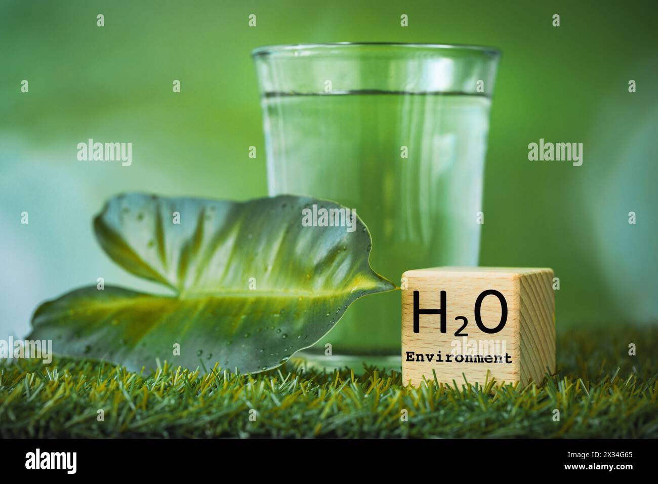 h2o water, Impact of water on the environment and life on earth, environmental science concept, glass of water among greenery, wooden block with h2o s Stock Photo