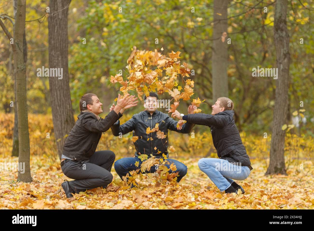 Three men in black jackets hunker down and pop-up yellow maple leaves in park Stock Photo