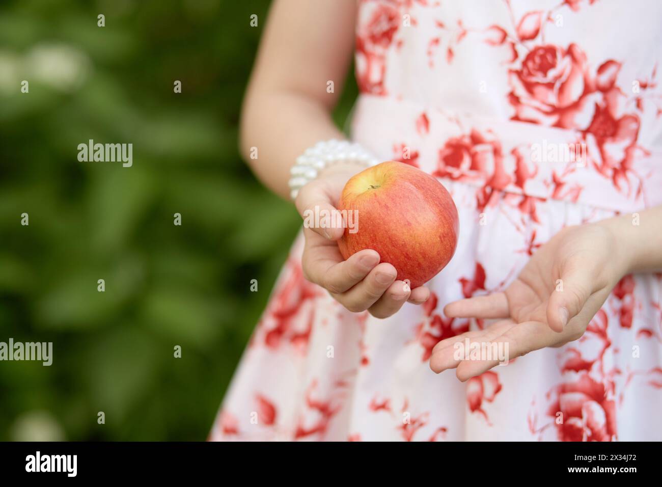 Hands of girl in flowery dress holding red apple outdoor. Stock Photo