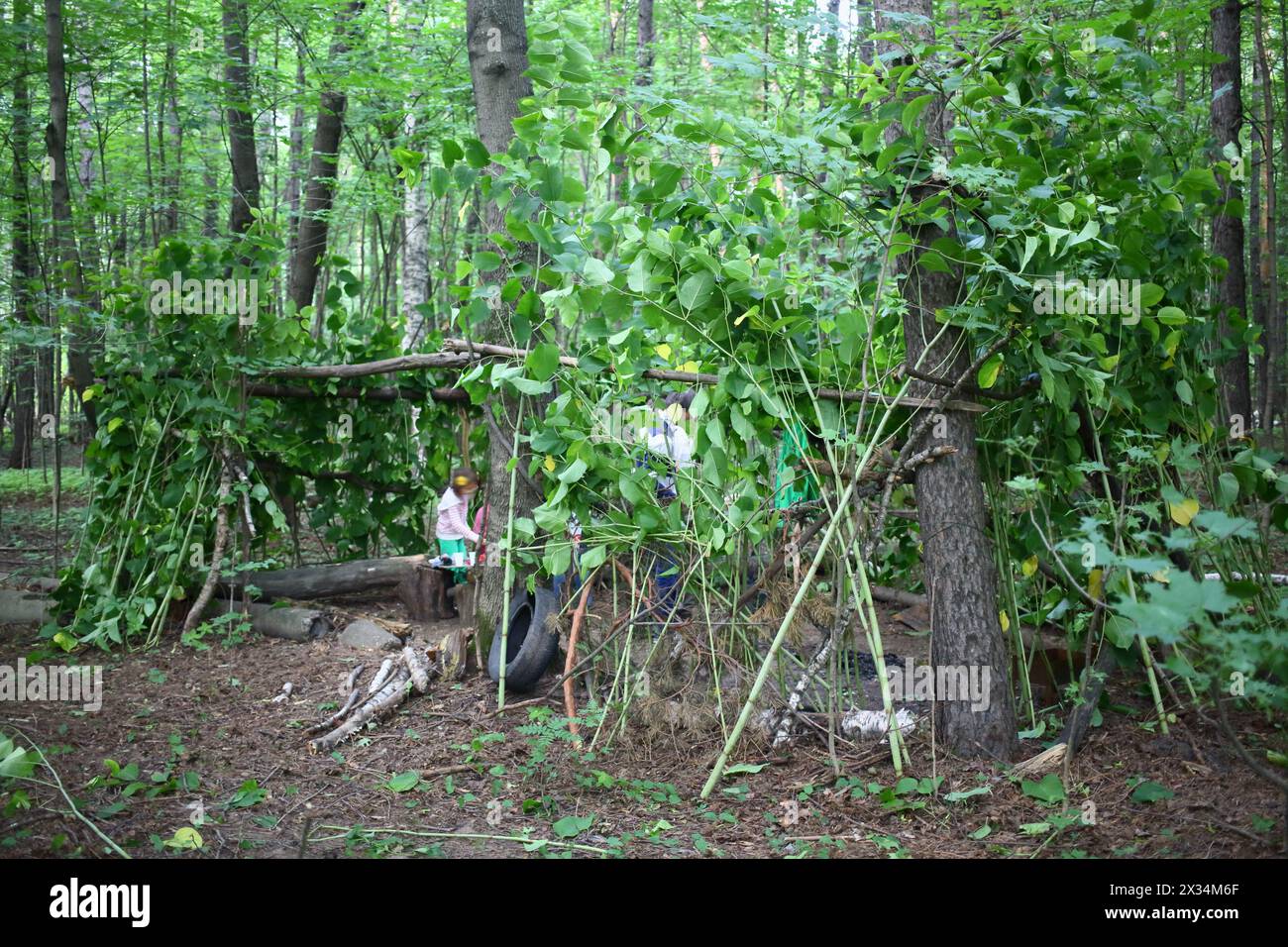 Shelter of branches for a picnic in the forest Stock Photo